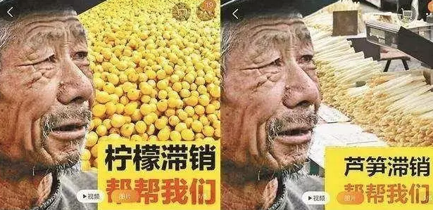 微信图片_20190512193855.png
