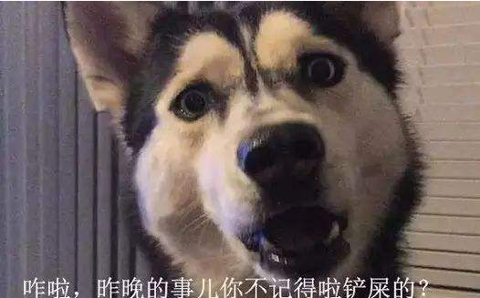 4654c4875841524789379b04e13f67a.png