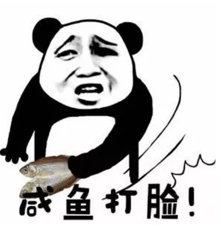 13.png