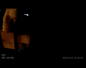 4.gif