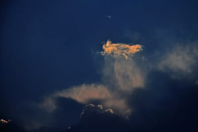 微信图片_20190512173121.png